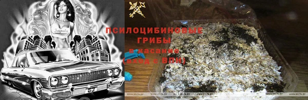 spice Пестово