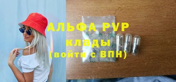 дживик Пересвет