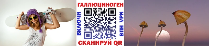 наркота  KRAKEN маркетплейс  Псилоцибиновые грибы MAGIC MUSHROOMS  дарк нет формула  Белореченск 
